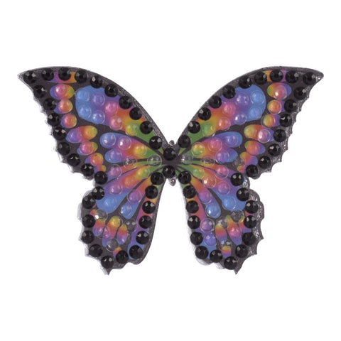 Rainbow Butterfly